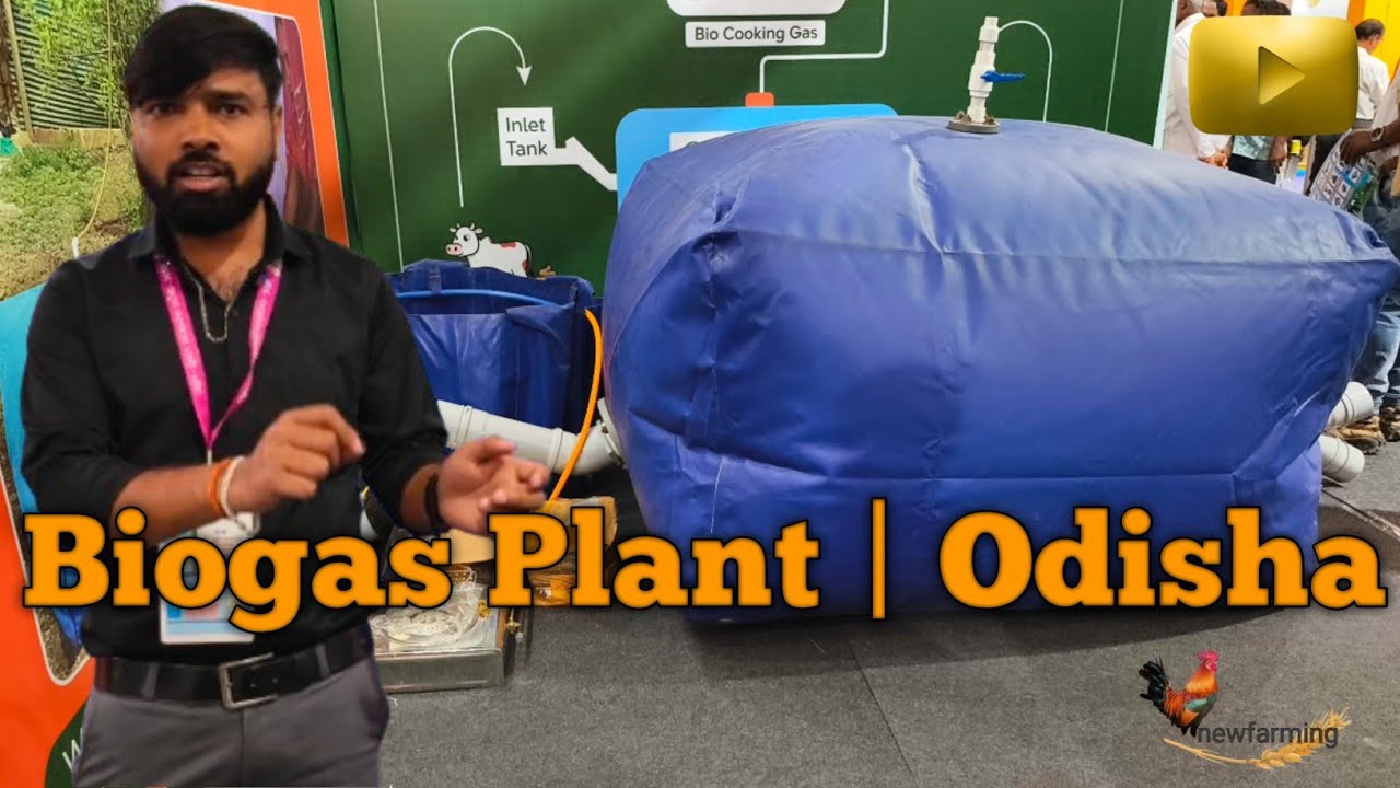 Biogas Unit in Odisha | ଗୋବରରୁ ଗ୍ୟାସ | Farmers Benefit