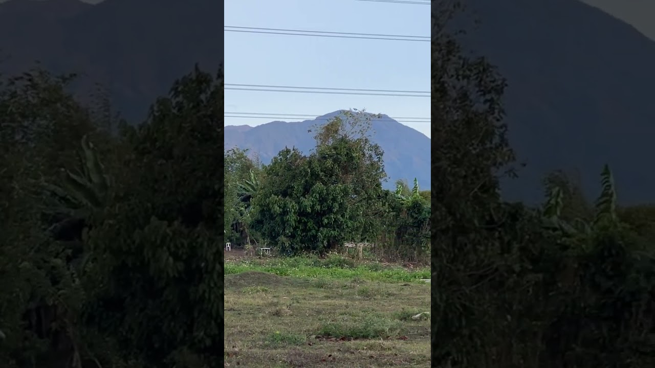 My daily routine with my family & pets #shorts #fyp #iscp #makemefamous #doglovers #dogwalking #dogs