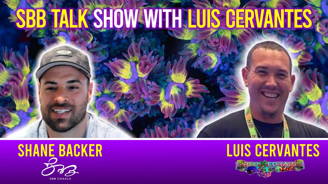 Episode 3- Special Guest Luis Cervantes
