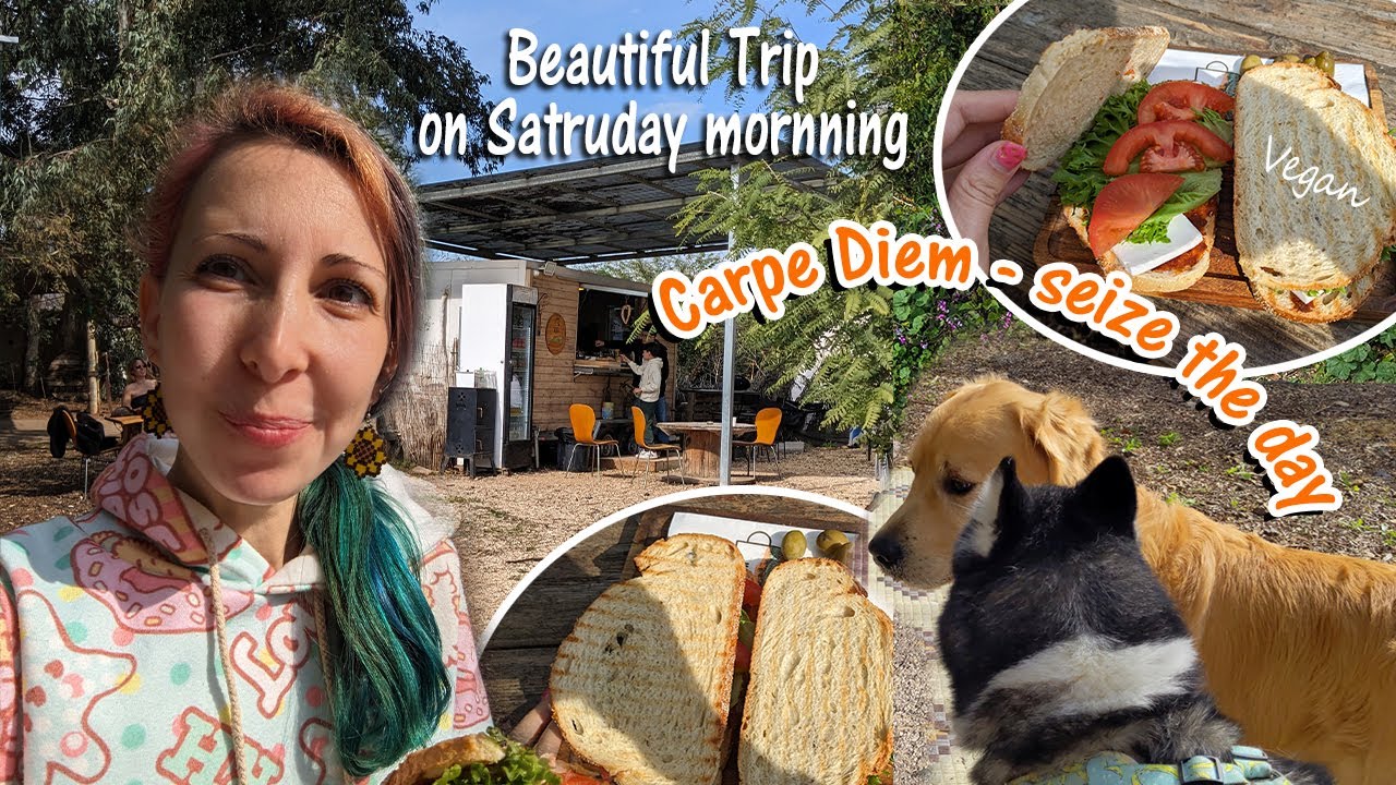 Checking vegan options in Israel Coffee cart | Cafe Goga, kfar yehezkel