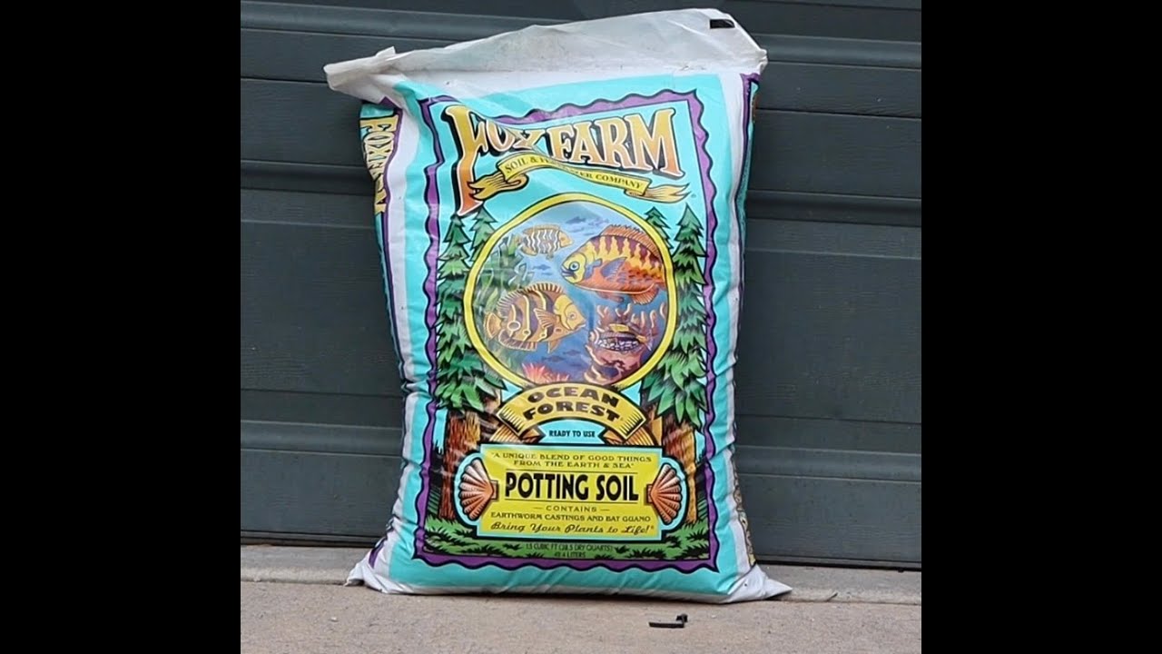Why I Use Fox Farms Ocean Forest Soil  For My Grows