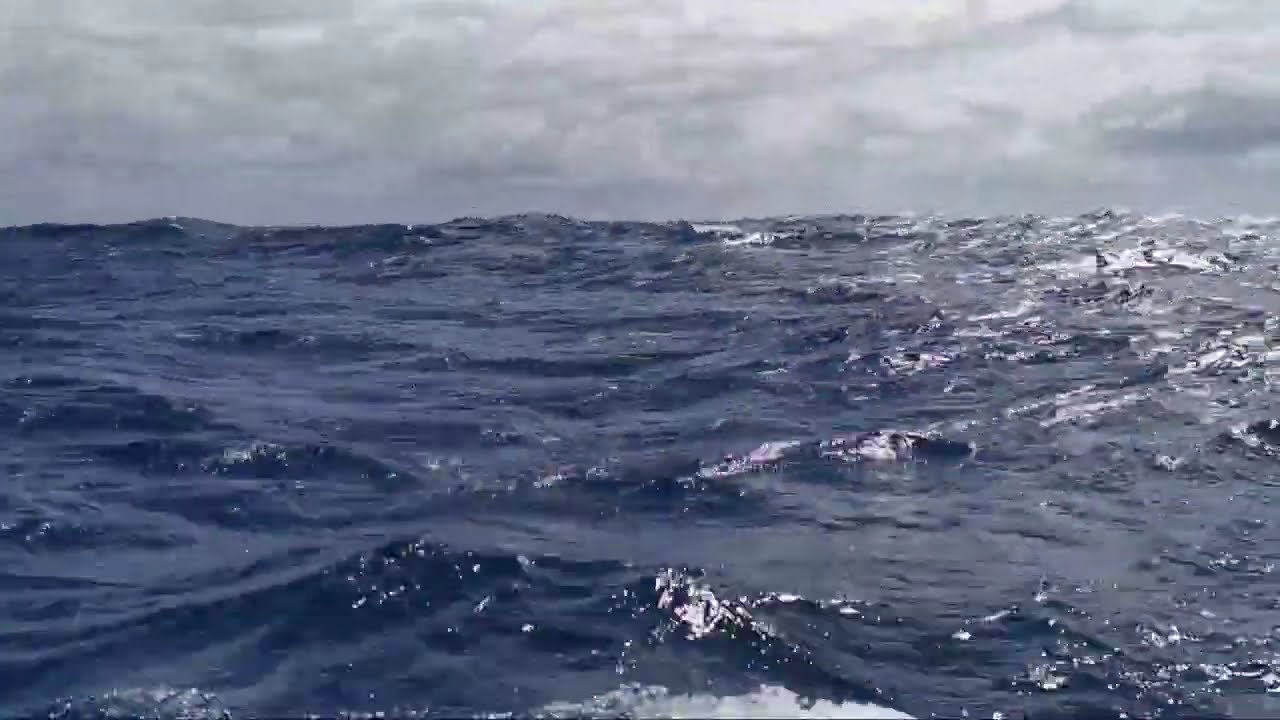 ATLANTIC CROSSING 2025 RADAZUL TENERIFE TO ANTIGUA WITH LEOPARD 44 PART 1