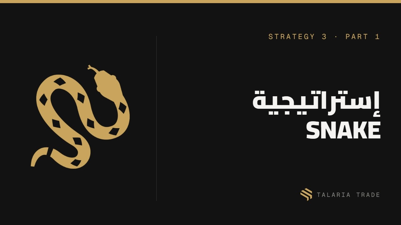 الإستراتيجية الثالثة: إستراتيجية 