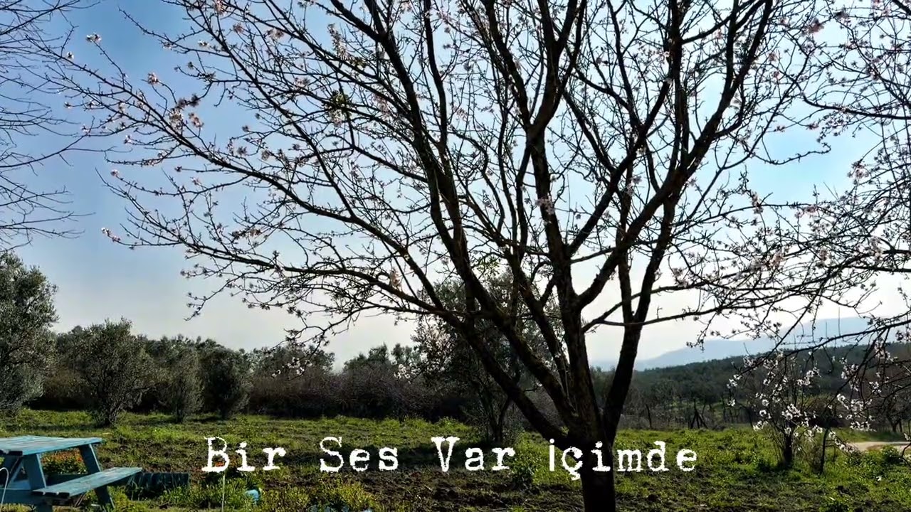 Tesadüfler – Bir Ses Var İçimde (Official Audio)