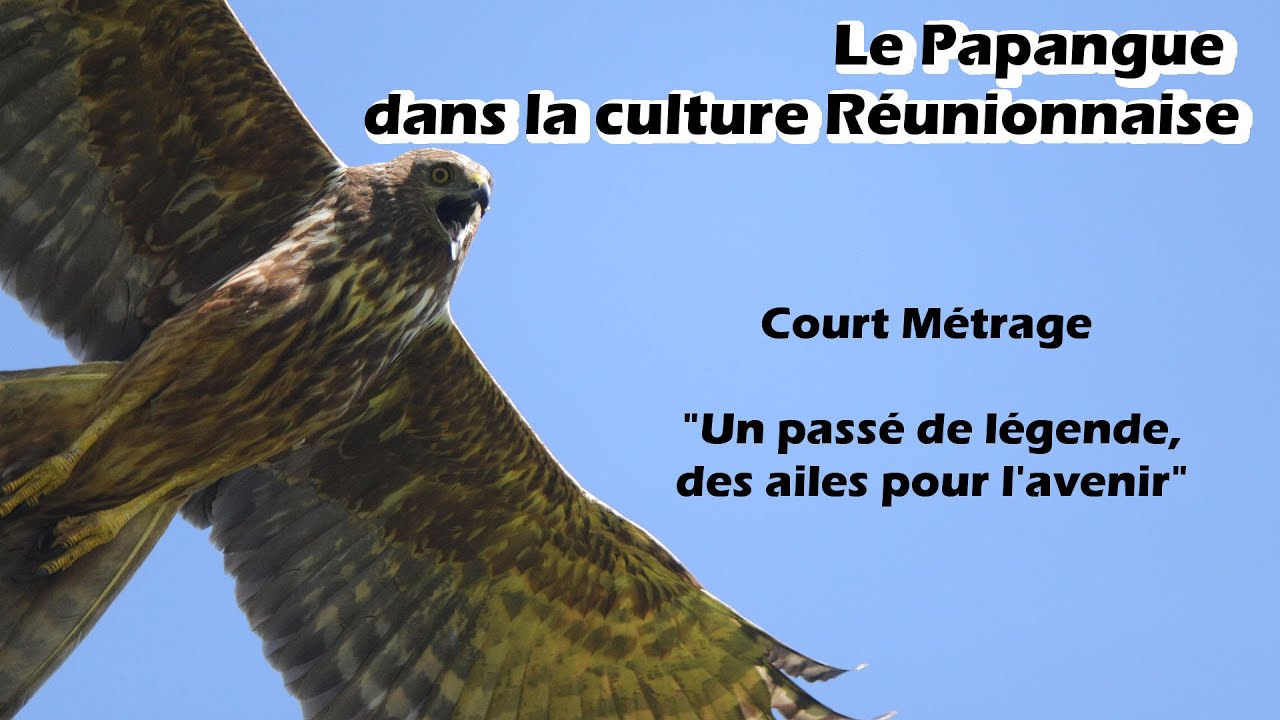 Un passé de légende  Des ailes pour l'avenir.. (Court-métrage sur le Papangue Ile de la Réunion)