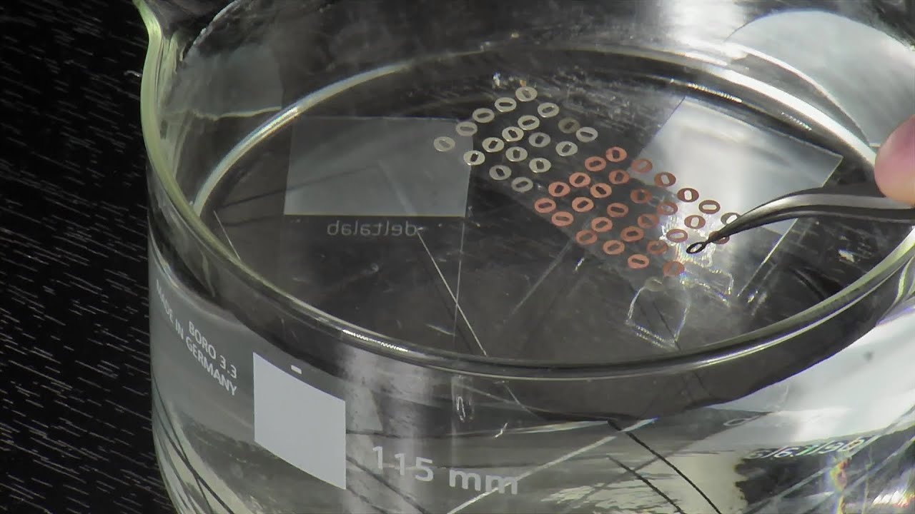 Cubrir rejillas de microscopía electrónica con Formvar