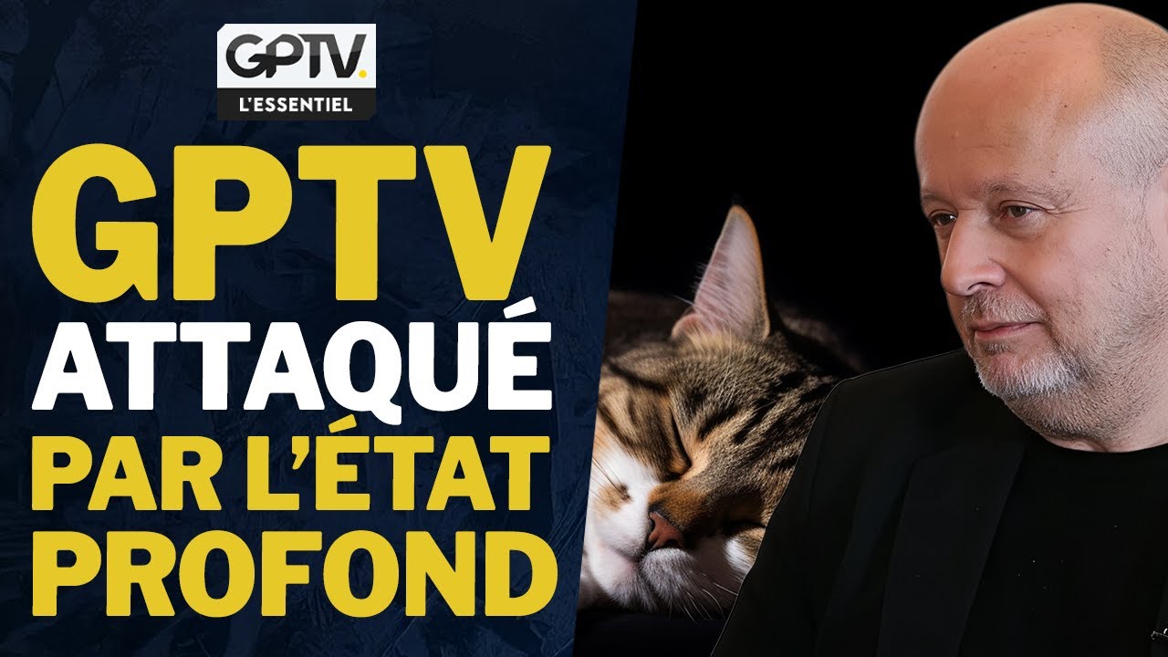 NICOLAS STOQUER : SES DEUX CHATS ASSASSIN&Eacute;S PAR EMPOISONNEMENT ! | GPTV L&rsquo;ESSENTIEL