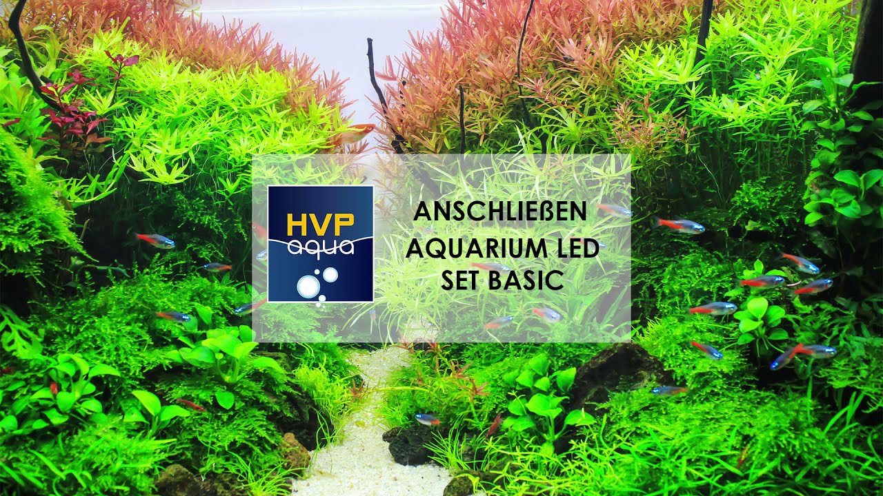 Wie wird das LED set basic angeschlossen? (DEUTSCH)