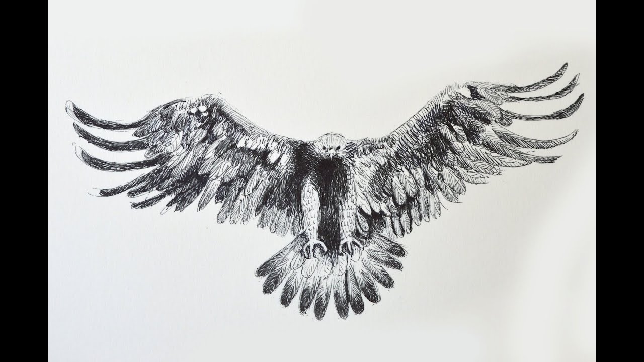 How to Draw an Eagle