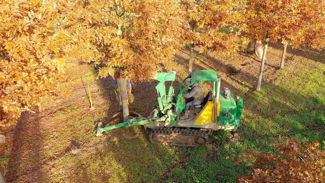 Présentation des chantiers d'arrachages aux Pépinières Chauviré