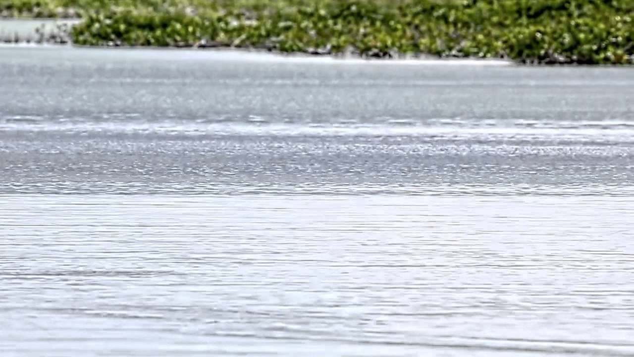 Tailing Permit