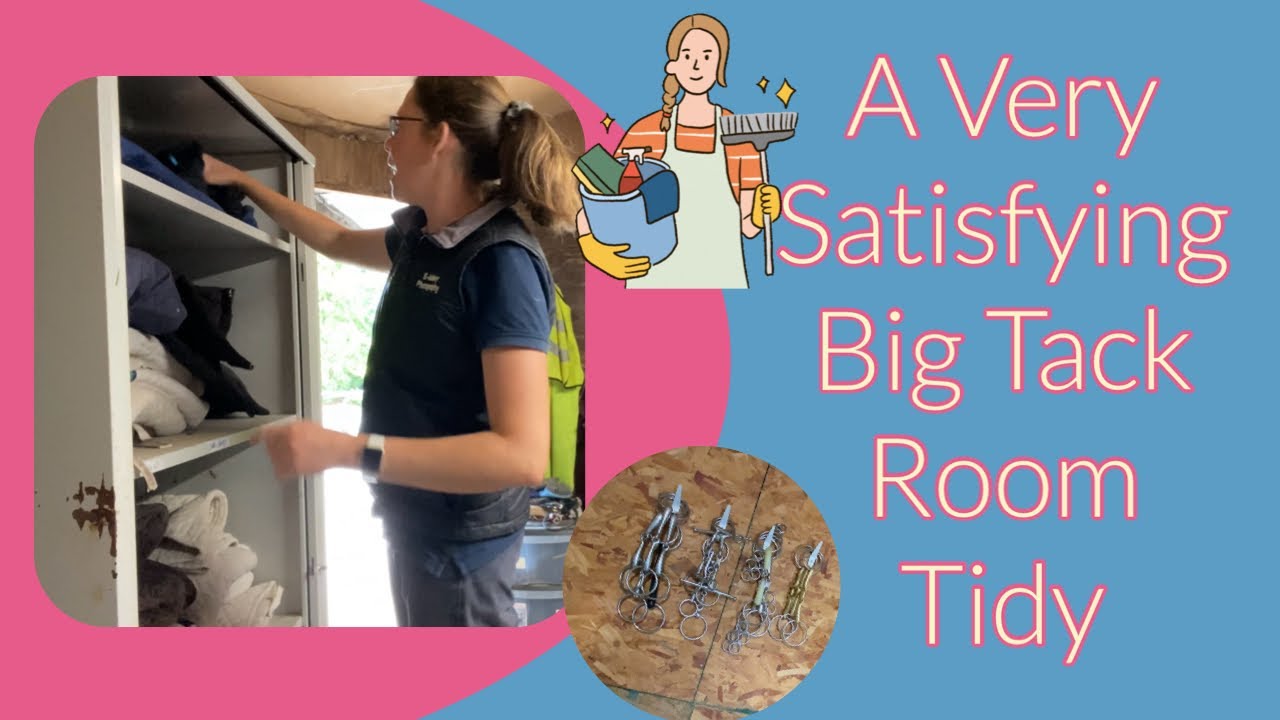 A Very Big Satisfying Tack Room Tidy | Equestrian Vlog