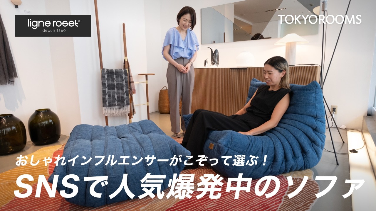 【プロが選ぶソファ】リーン・ロゼの定番人気！50年以上愛されるソファ「ロゼトーゴ」の魅力を徹底解説