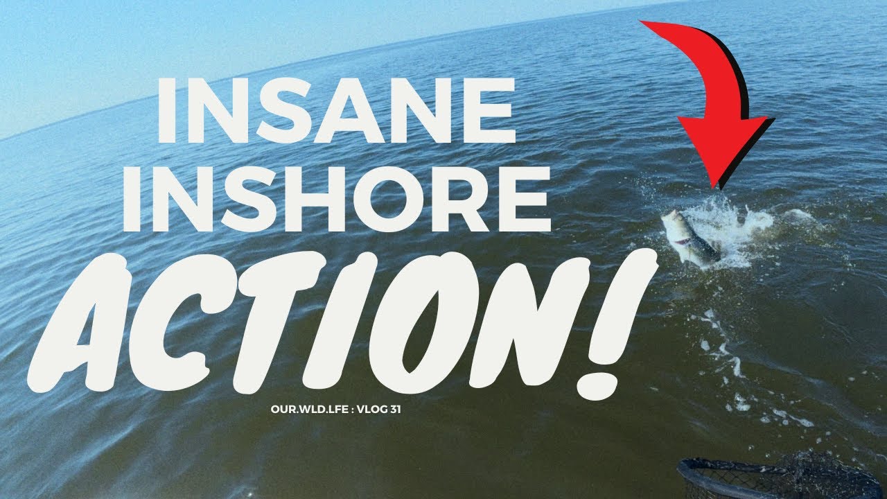 Unexpected FRENZY on the Neuse River | Inshore Fishing Gone WILD!