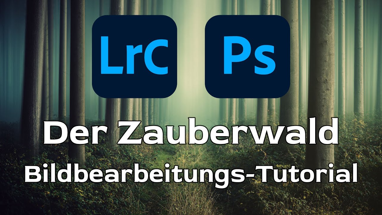Der Zauberwald - So habe ich dieses Bild in Lightroom und Photoshop bearbeitet!