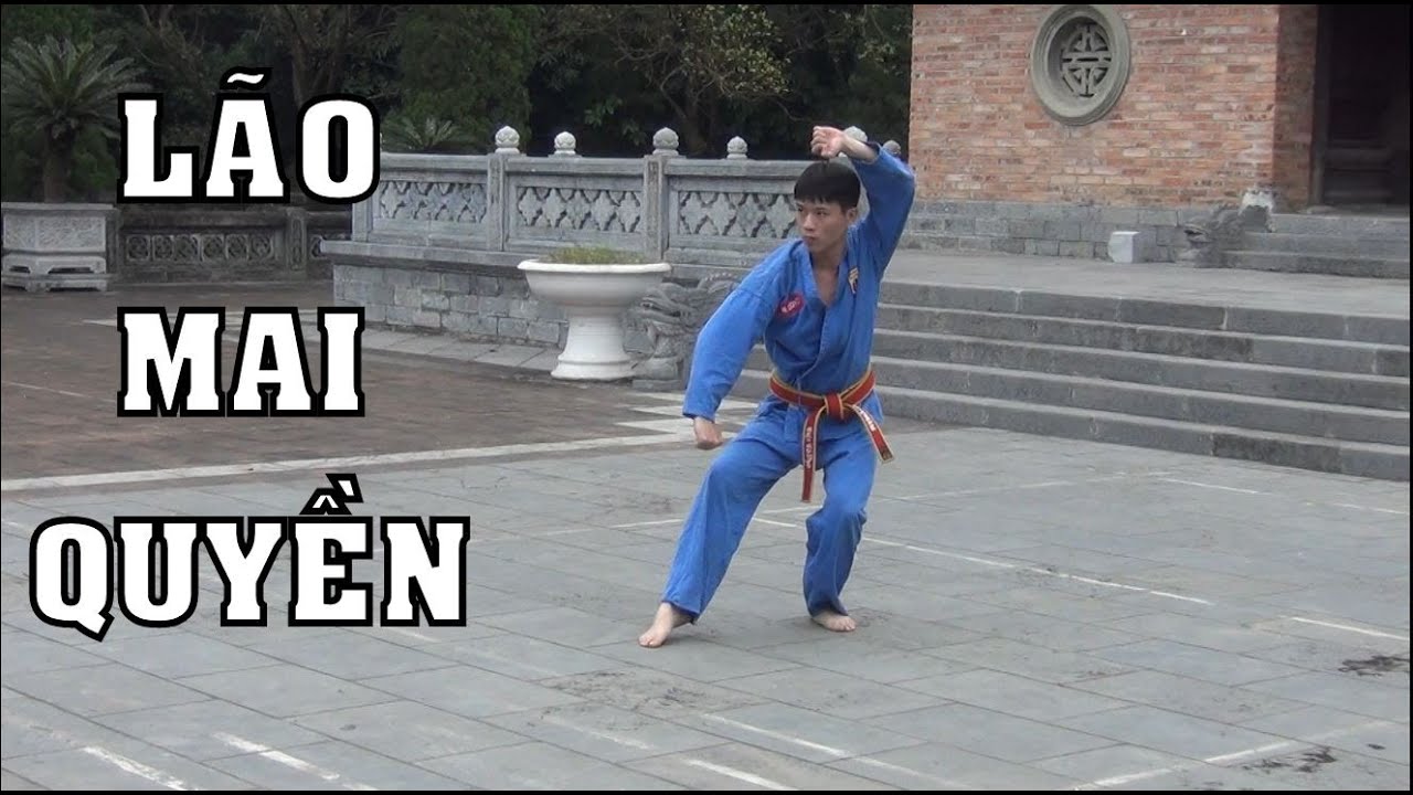 Vovinam - LÃO MAI QUYỀN THAM KHẢO ( Vovinam Old apricot blossom Form Tutorial)