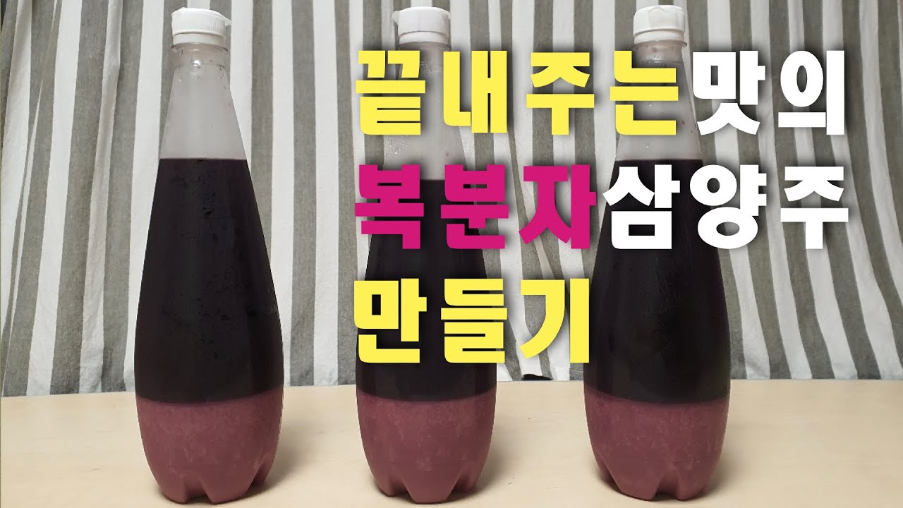 [전통주 만들기] 시판 복분자주와는 비교할 수 없는 복분자 삼양주 만들기!