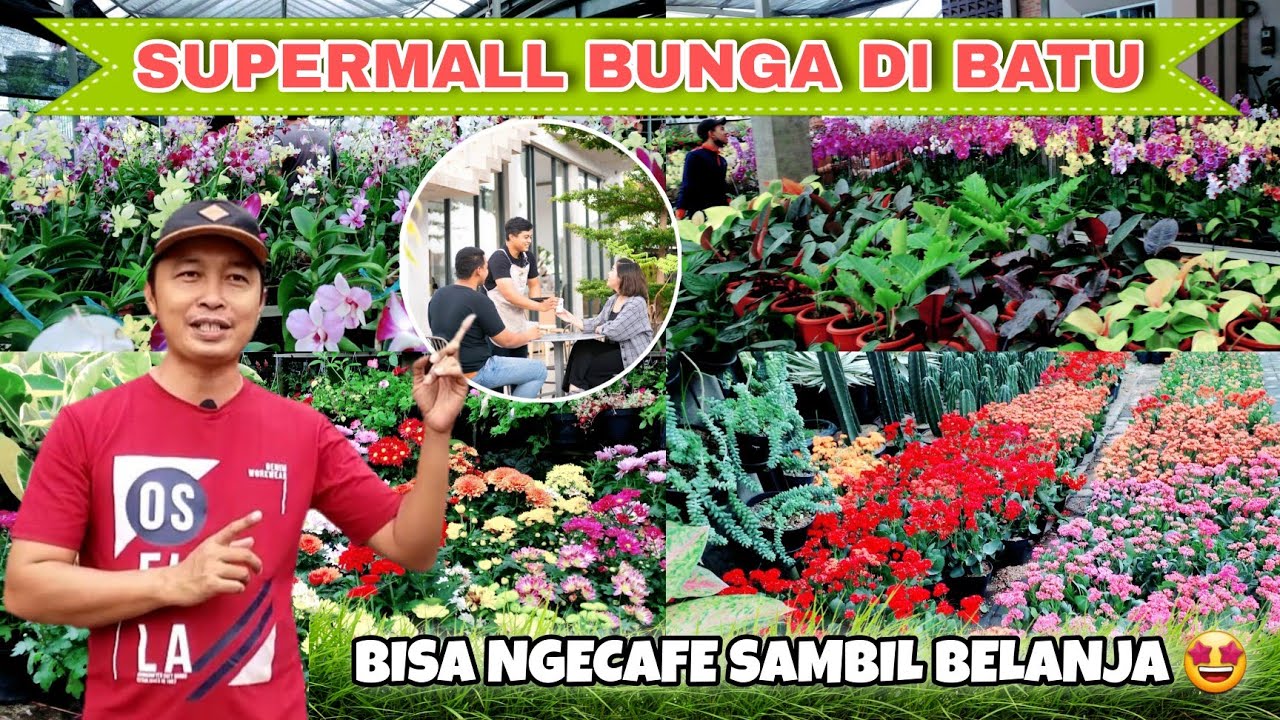TOKO BUNGA MITRA FLORA BATU, SURGANYA BELANJA BUNGA DAN TANAMAN HIAS - Cak Hanto