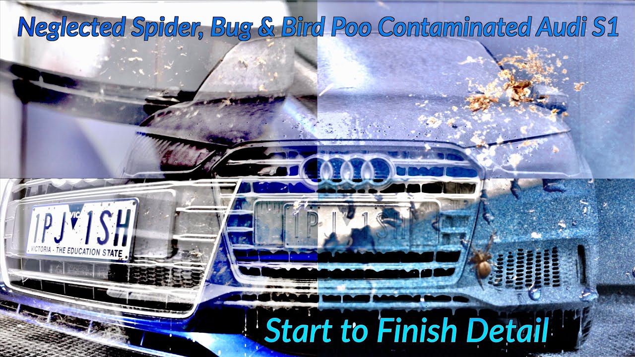 Filthy Neglected Audi S1 Gets Detailed | Start to Finish ASMR Detail!