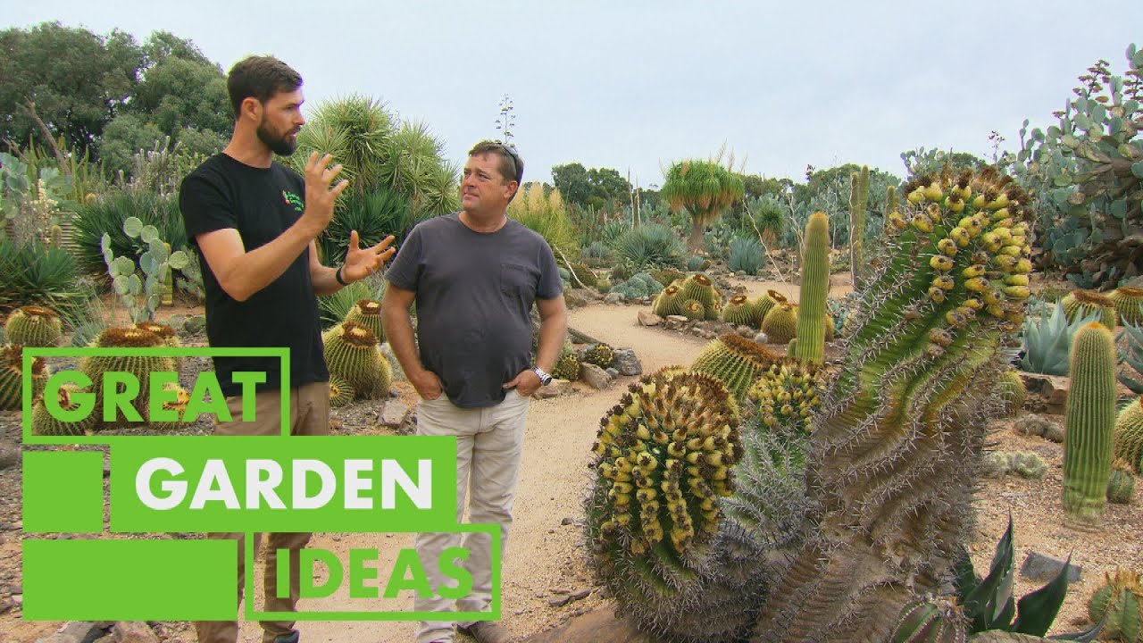Jason Visits the LARGEST Cactus Collection in Australia | GARDEN | Great Home Ideas