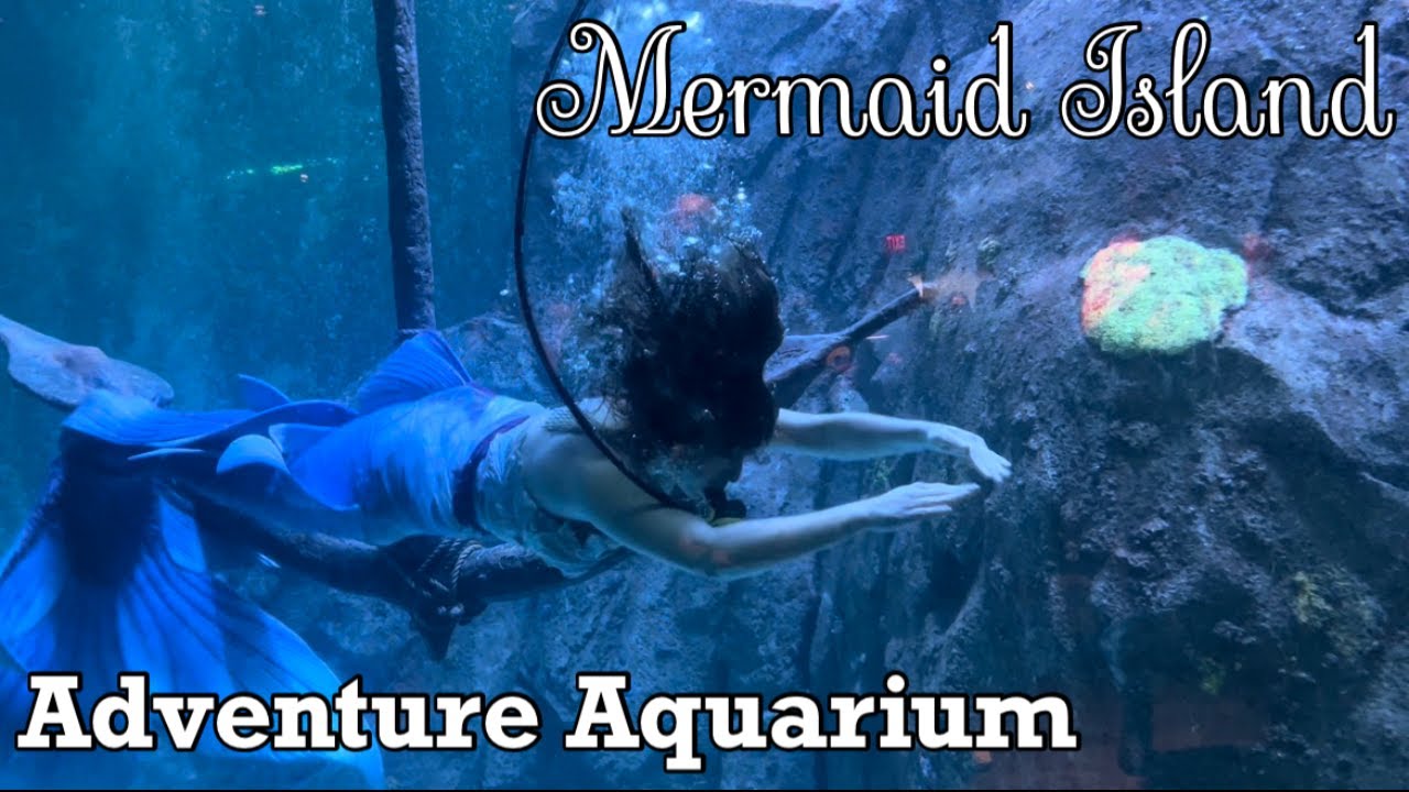 Adventure Aquarium | Real Life Mermaids | Things to Do in Philadelphia