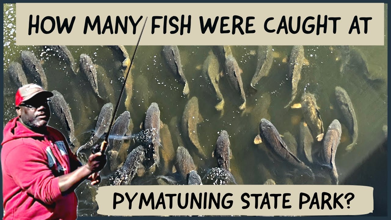 Camp Cooking at Pymatuning State Park | Fishing | Linesville Spillway
