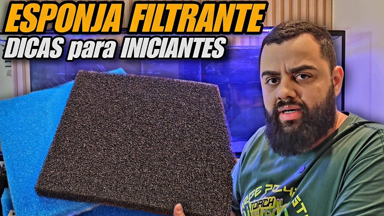 ESPONJA FILTRANTE PARA AQUÁRIOS - DICAS PARA INICIANTES