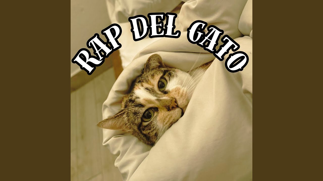 Rap Del Gato