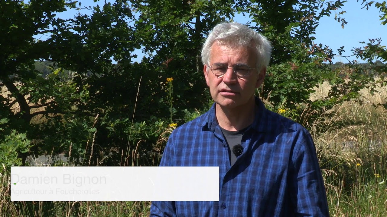 Corridors écologiques en Plaine de Versailles