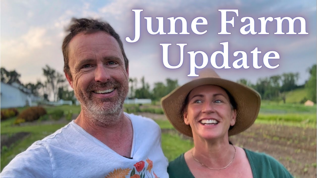 June Farm Update | PepperHarrow