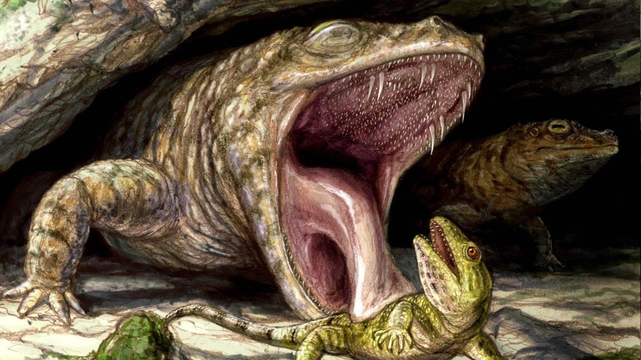 Ancient Giant Amphibians