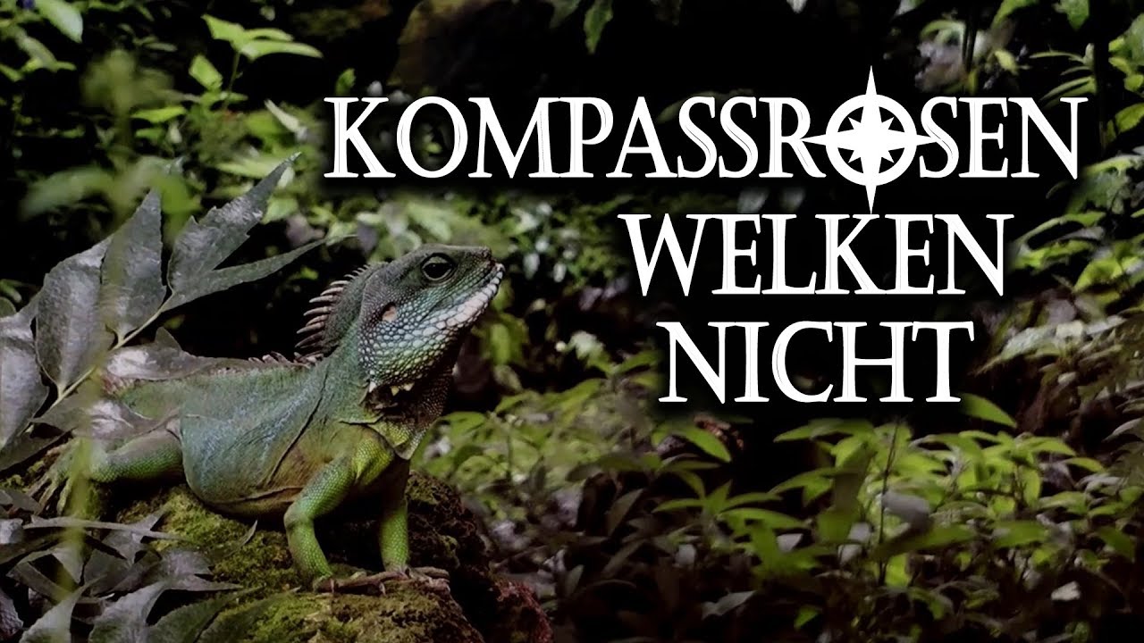 Harpyie - Kompassrosen welken nicht (OFFICIAL MUSICVIDEO) 2019