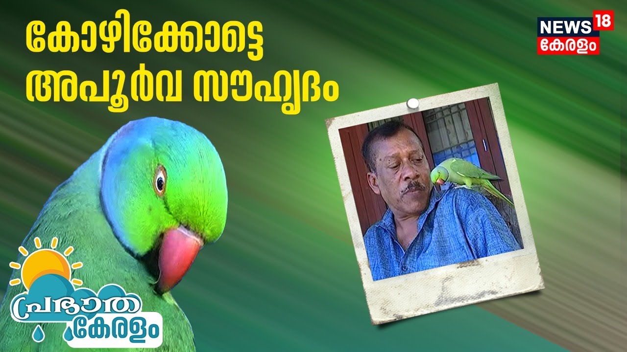 ഉണ്ണലും ഉറങ്ങലുമെല്ലാം ഒരുമിച്ച് ! 25 വർഷമായി തയ്യൽ തൊഴിലാളിയായ സുരേഷിന് കൂട്ടായി ഒരു തത്ത