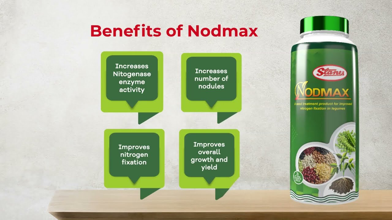 Stanes Nodmax