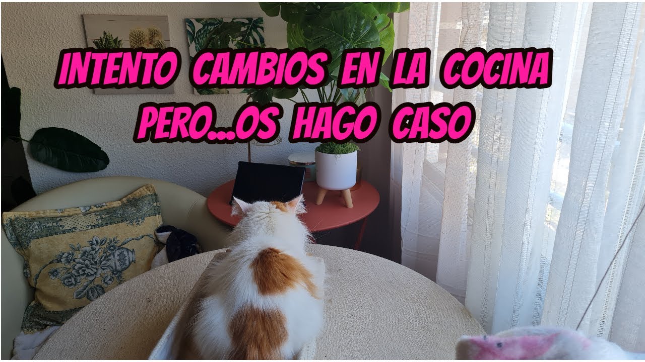 🤔Intento cambios en la cocina//😃 y os hago caso👏👏👏✨