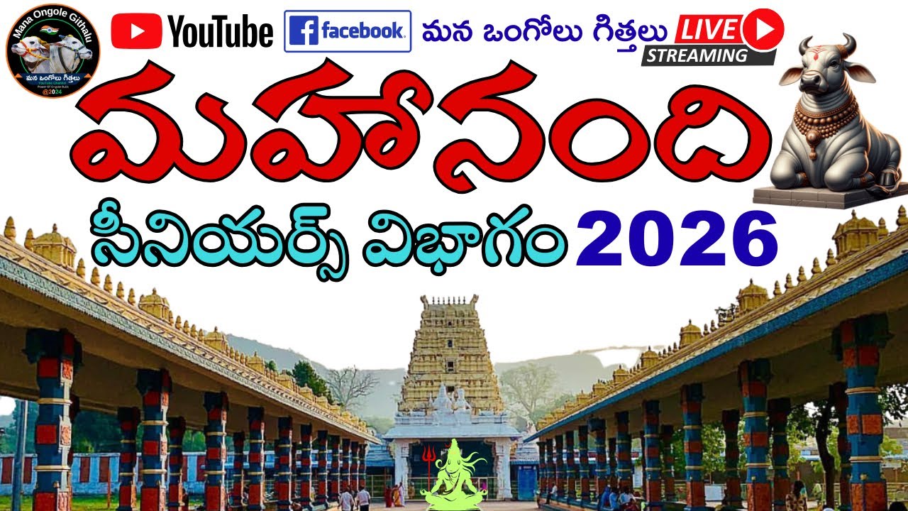మహానంది సీనియర్ | 2జత RK బుల్స్ అత్తోట శిరీష చౌదరి గారు శివకృష్ణ చౌదరి గారు వేటపాలెం