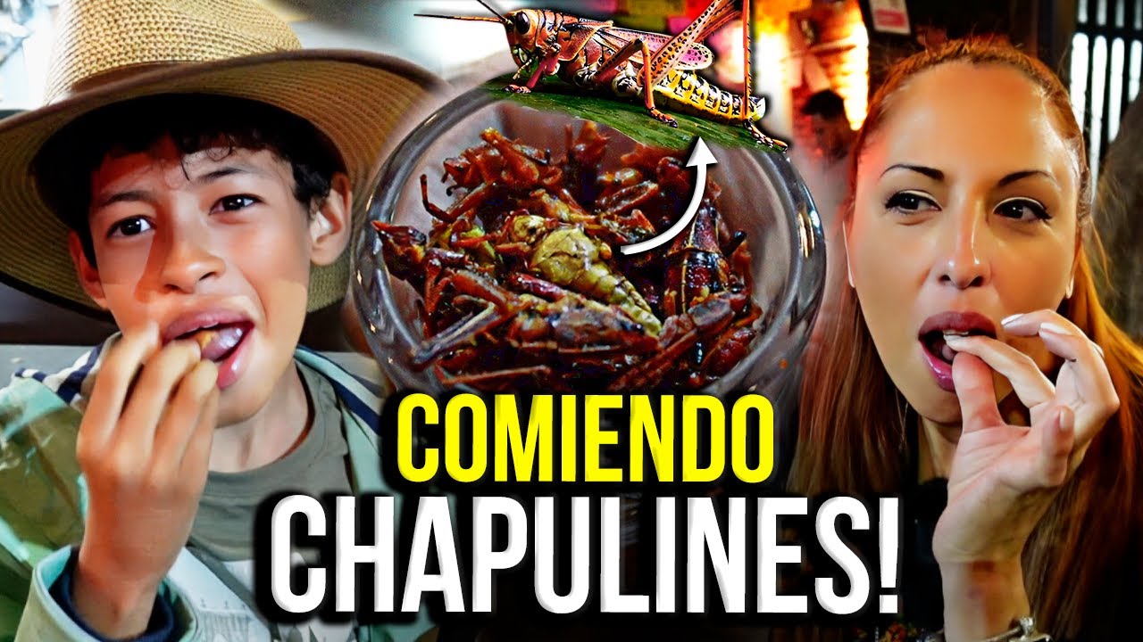 MI HIJO Degustando INSECTOS en MÉXICO ! No lo puedo creer !!!! CECI DOVER REACCIONA