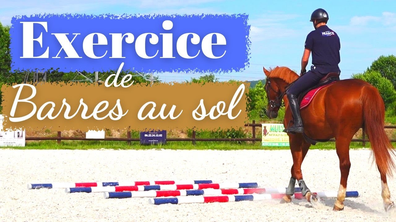 Exercice de barres au sol cheval