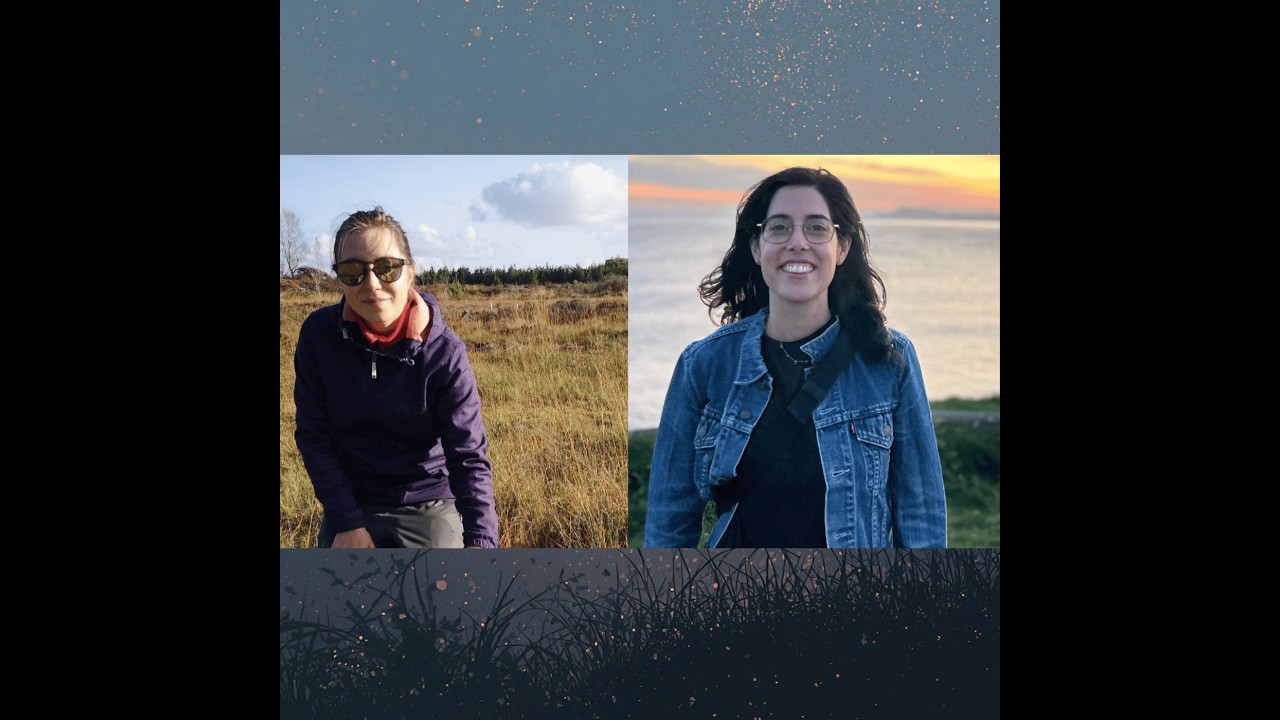 Dalradian Planning  Inquiry: Peatlands, Climate Commitments & Carbon | Accogli & Aitova N.Ireland