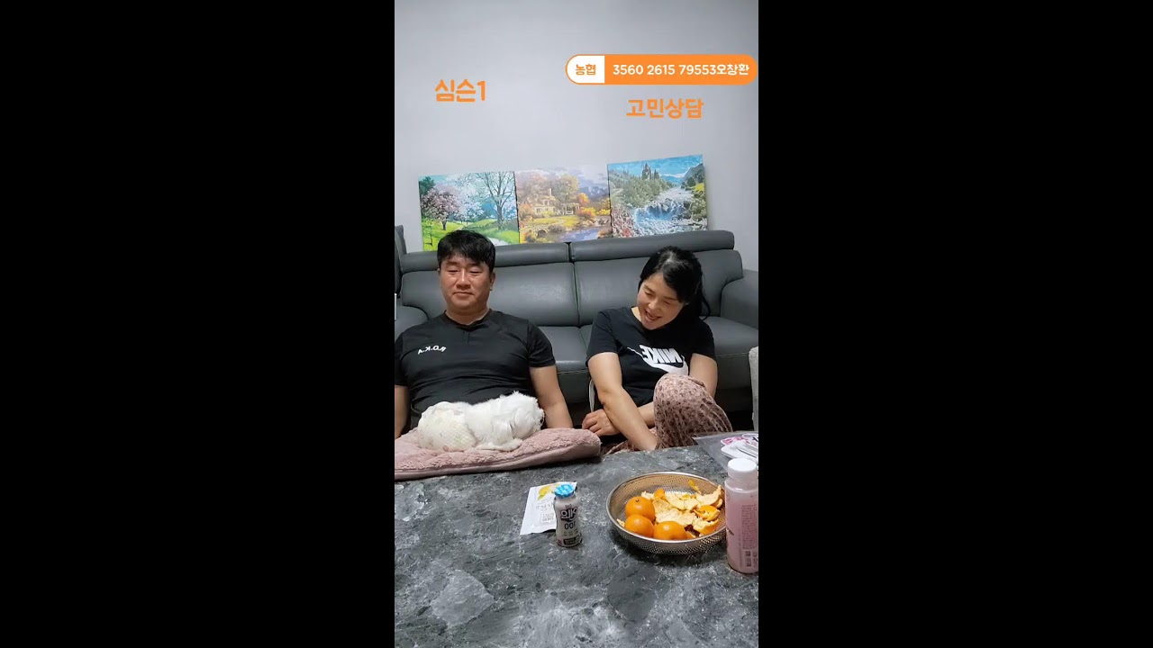 돌싱부부 라이브 방송