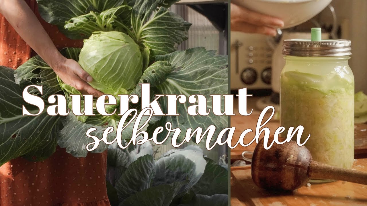 So geht Sauerkraut ✨️ gesund, frisch, nährstoffreich fermentieren 🫙🥬 Sauerkraut selbermachen