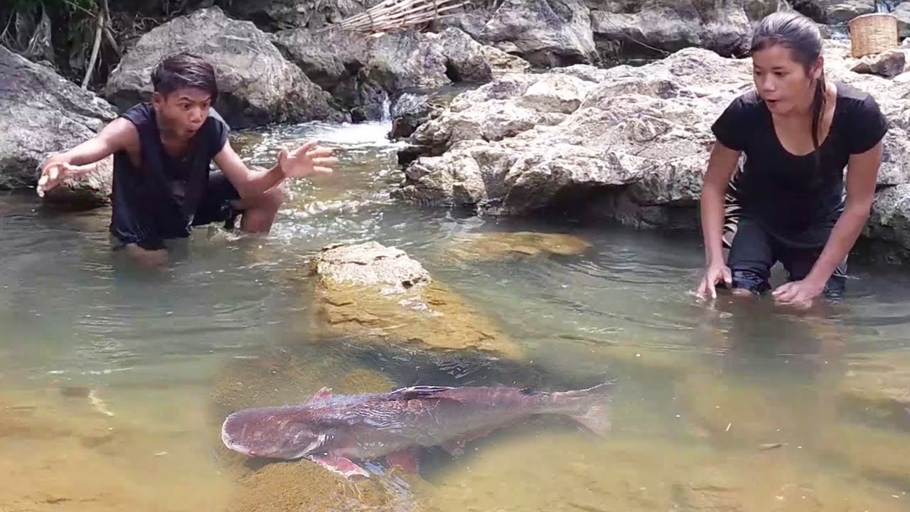 Wow Big 8kg Fish! Catching Fish, Grilling and Eating as survival in the forest @LiisaCooking