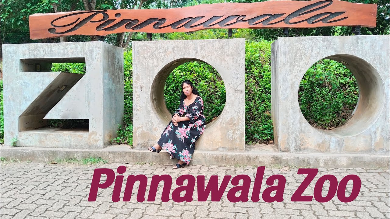 Pinnawala First Open Air - Zoo in Sri Lanka/පින්නවල එළිමහන් සත්වෝද්‍යානය