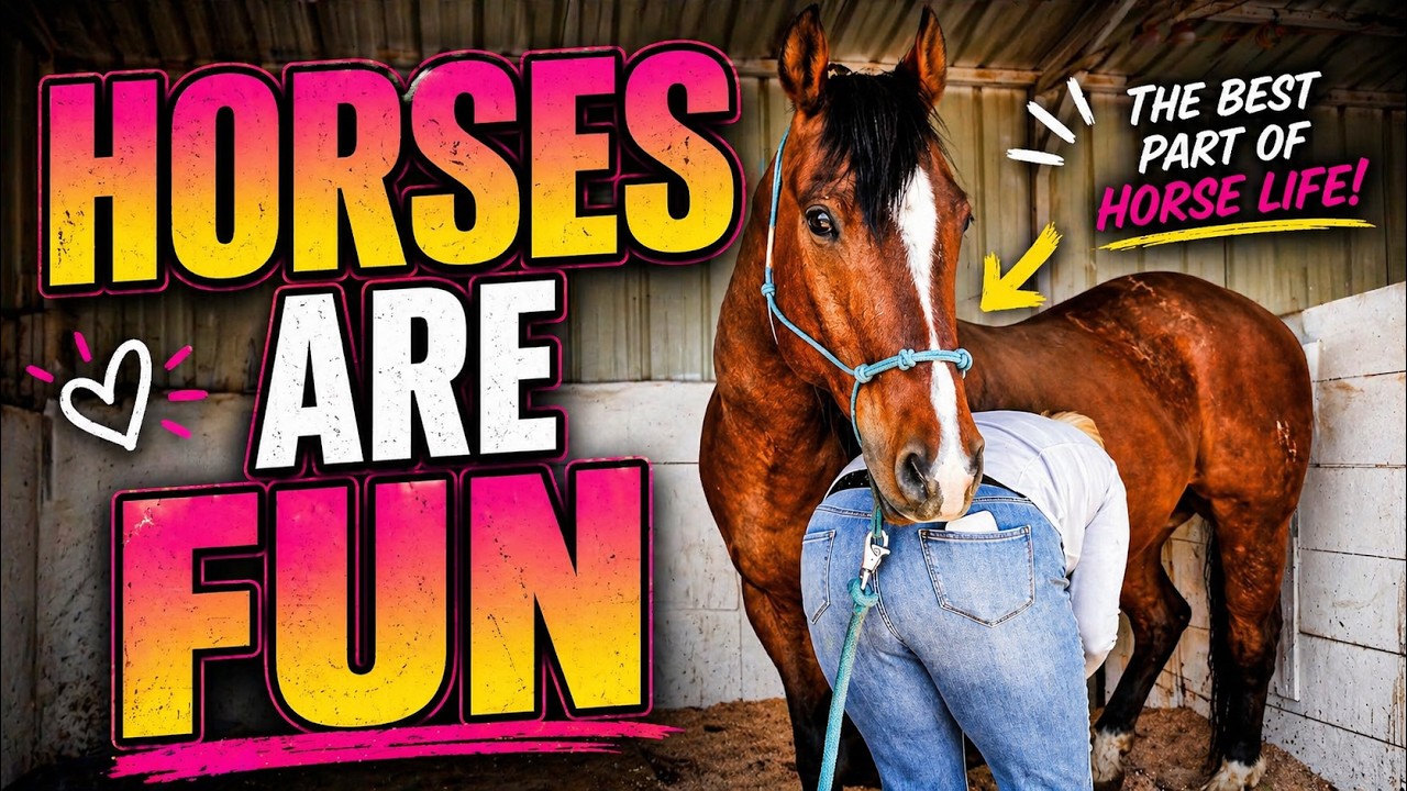 What It’s REALLY Like Owning a Horse