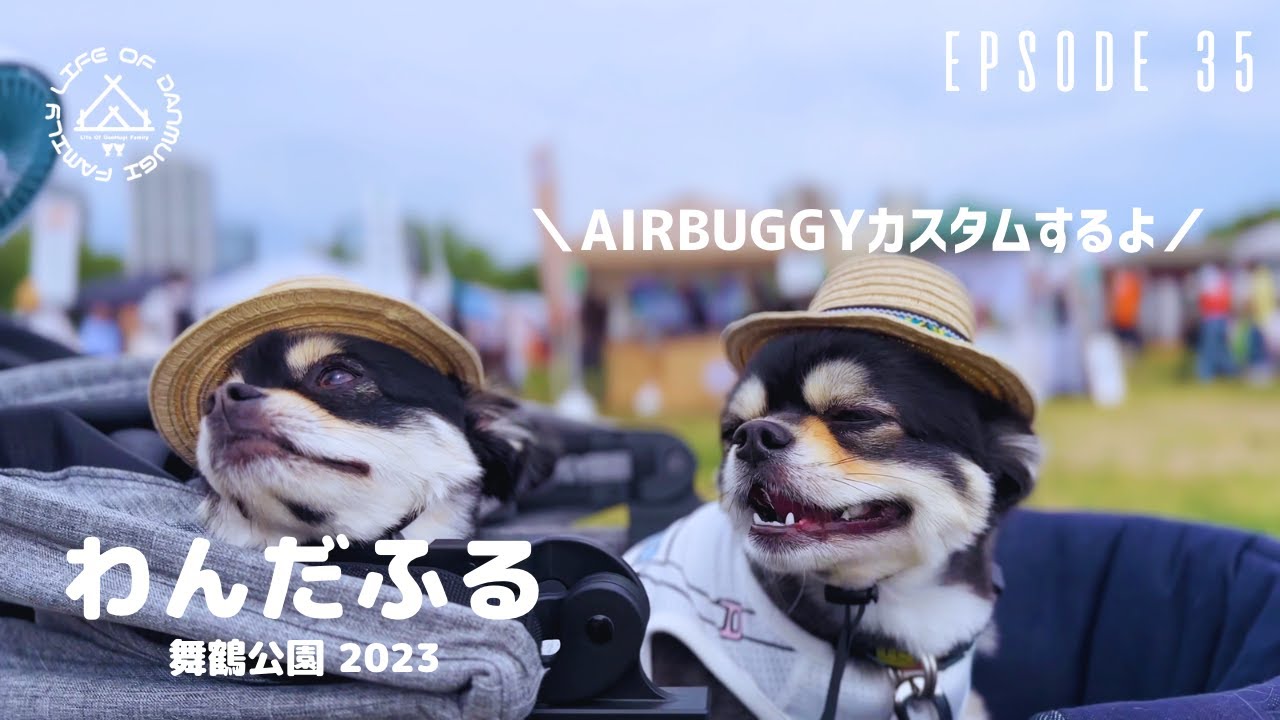 愛車のAIRBUGGYもカスタム！ドッグフェスで爆買いしちゃいました