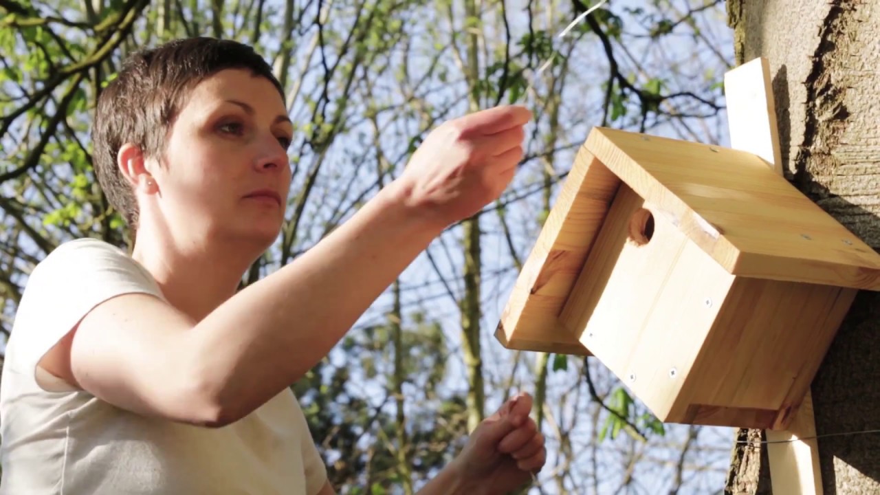 Comment fabriquer un nichoir pour oiseaux