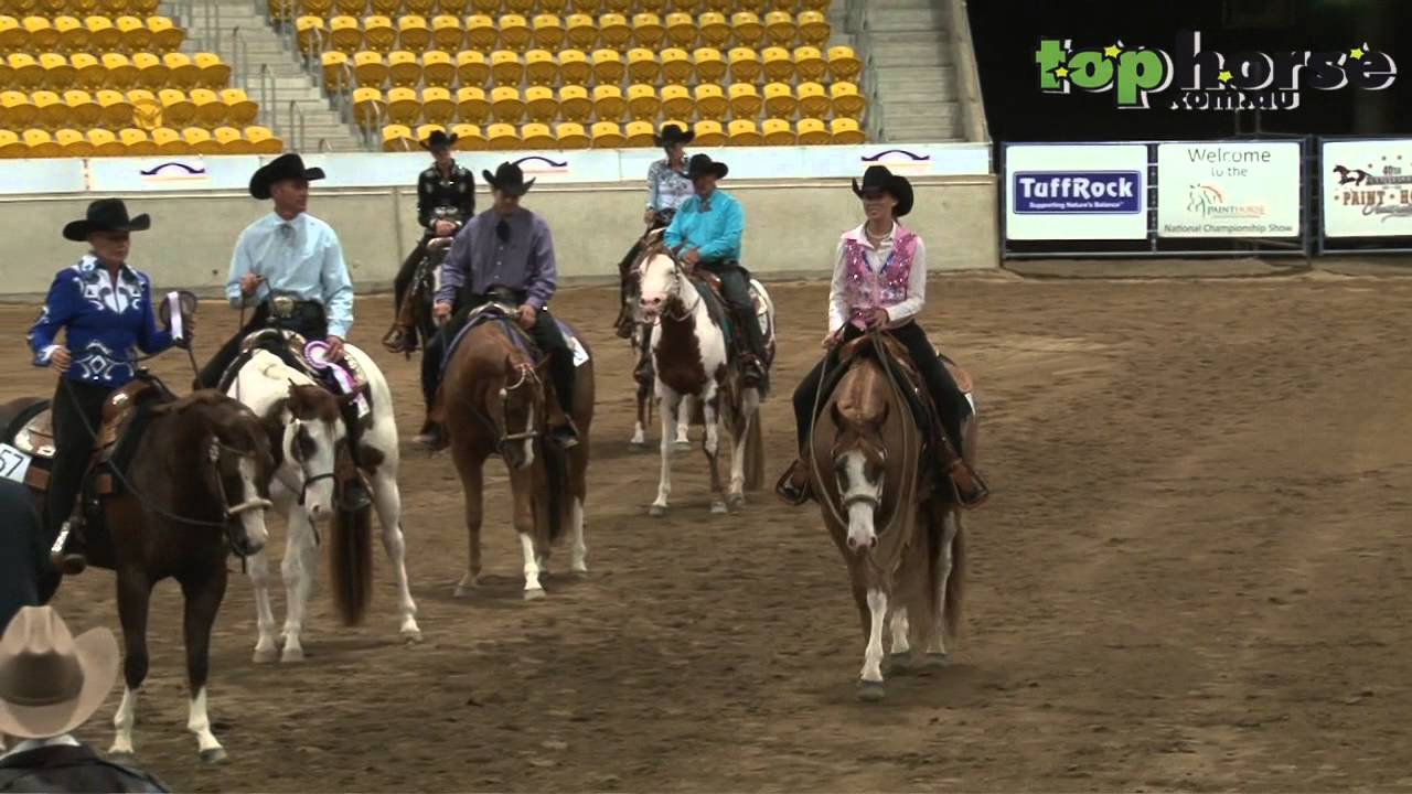 PHAA National Championship Show - 3YO Western Pleasure Horse
