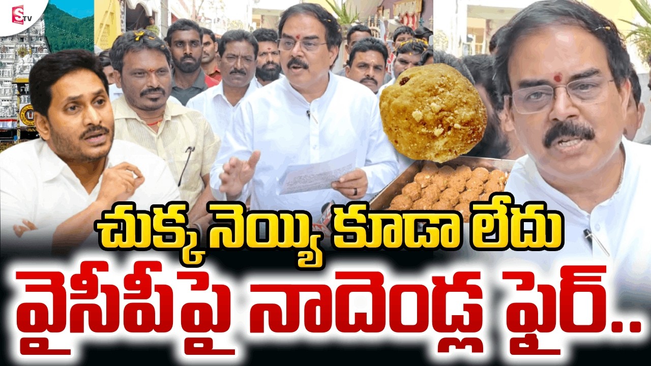 Nadendla Manohar Sensational Comments On YSRCP | వైసీపీపై నాదెండ్ల ఫైర్ | Tirupati Laddu Issue