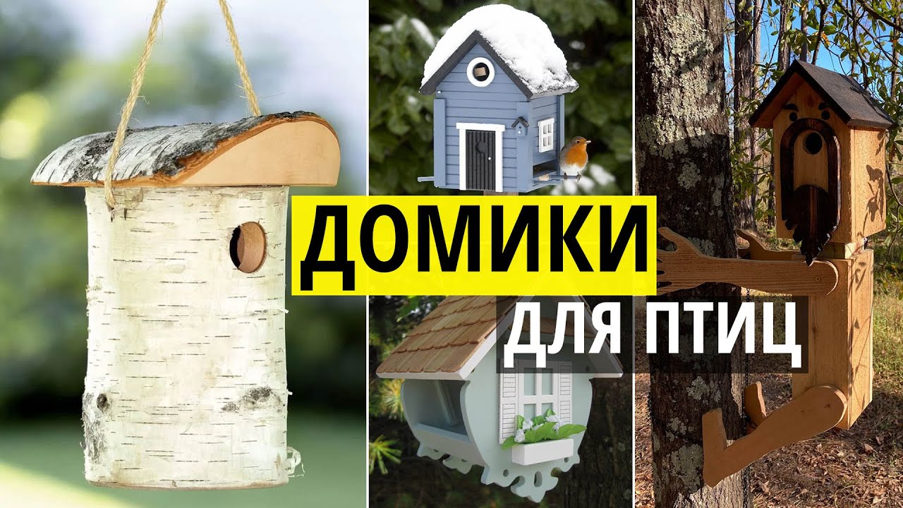 Кормушки и домики из дерева для птиц. Оригинальные идеи для дачи и сада своими руками