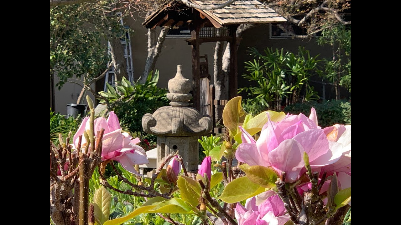 Shotsuki Hoyo (Monthly Memorial Service) April 2022